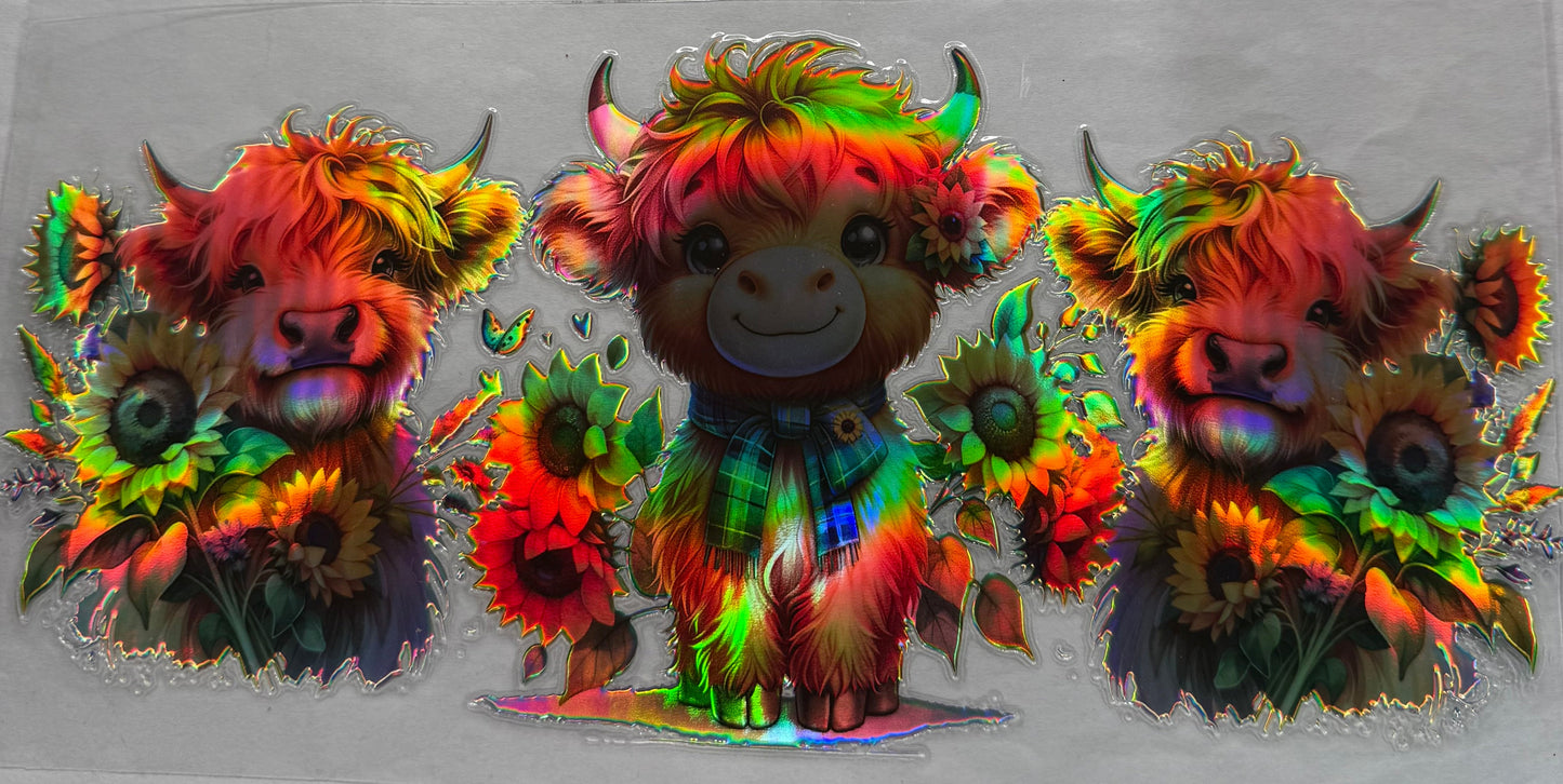 uvdtf transfer wrap Holo sunflower highland cows