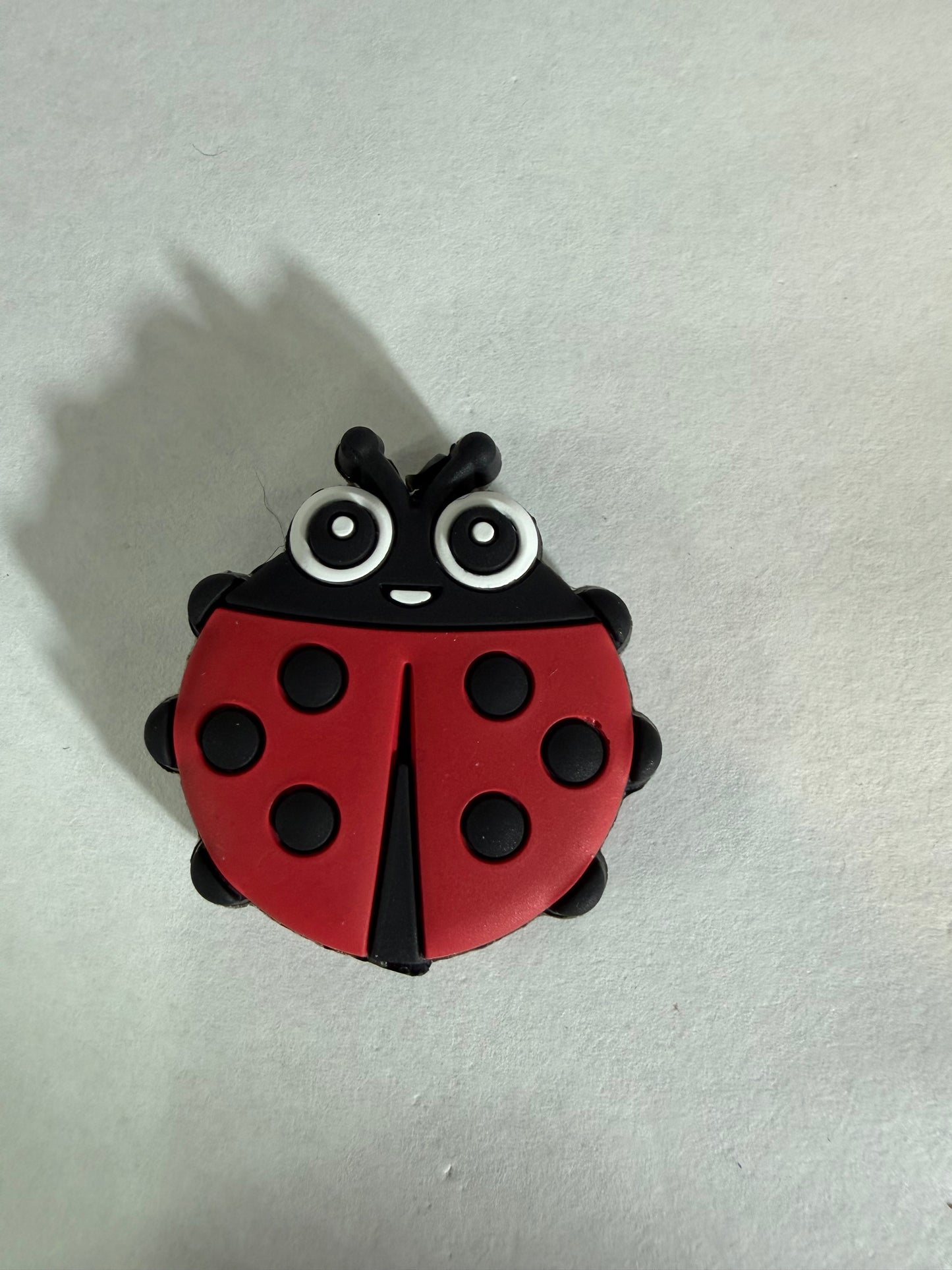 Focal 2d ladybug