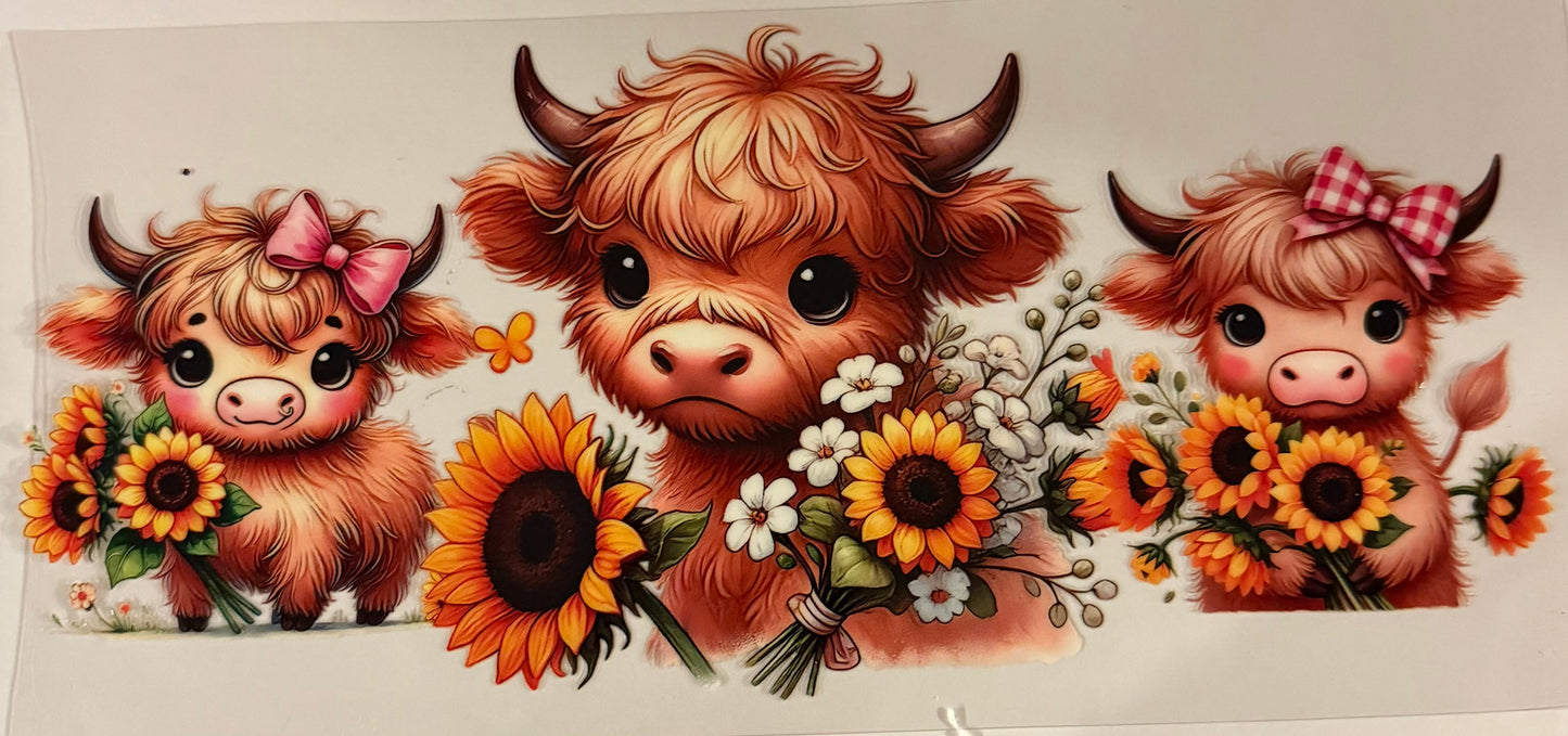 uvdtf transfer wrap cute highland cows with sunflowers