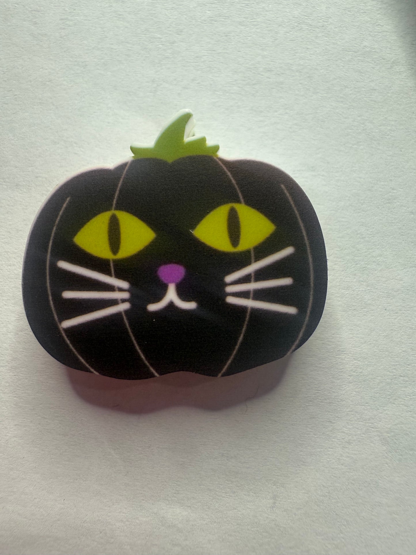 Focal 2d Pumpkin cat