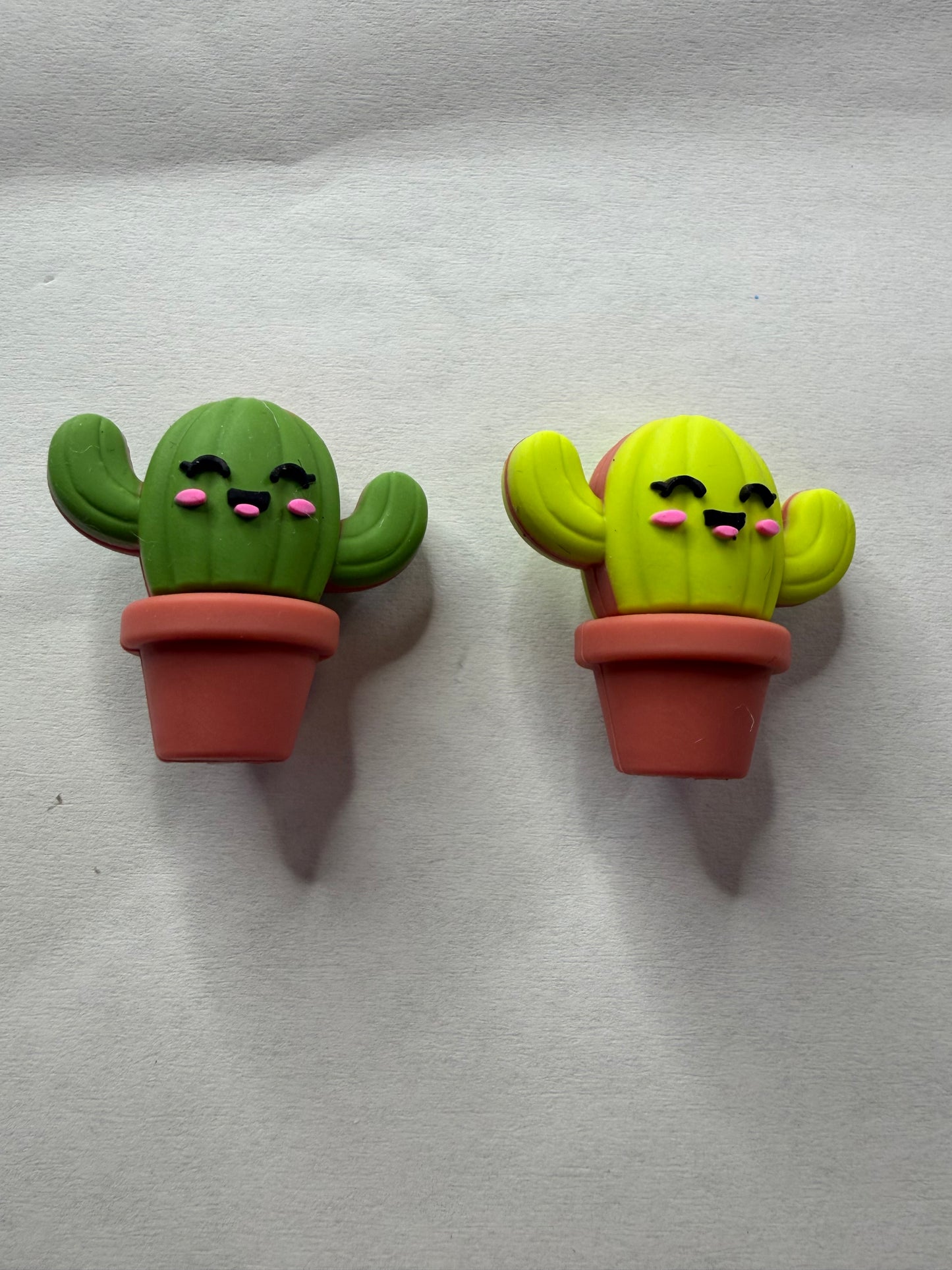 Focal 3d catus in pot mystery color