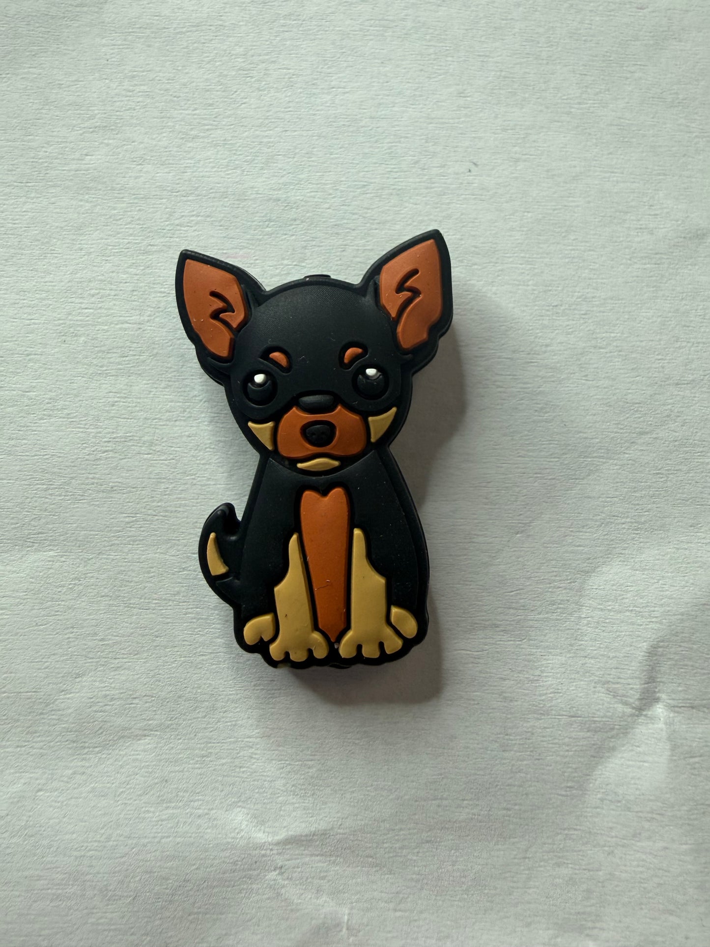 Focal 2d Chihuahua dog