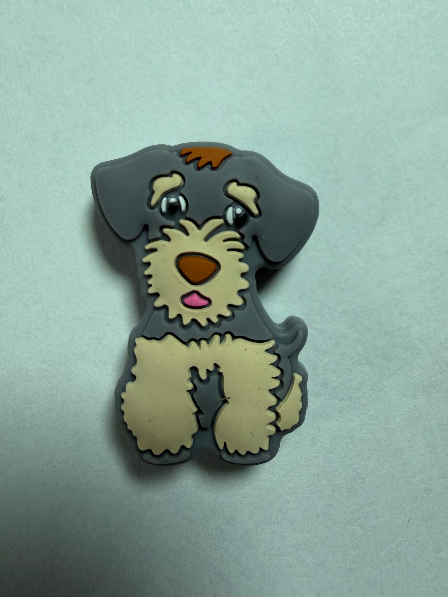 Focal 2d grey dog