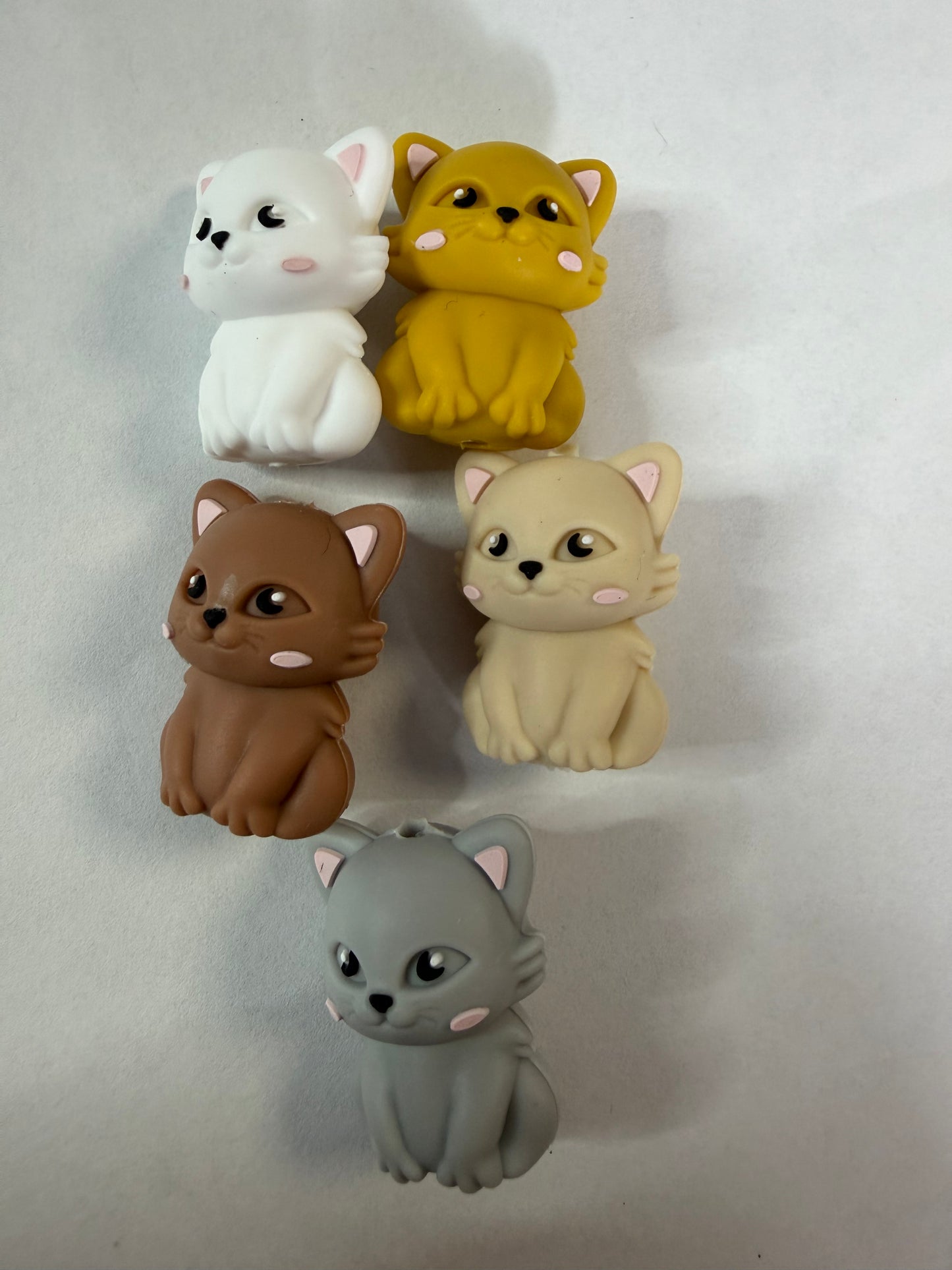 Focal 3d cats mystery