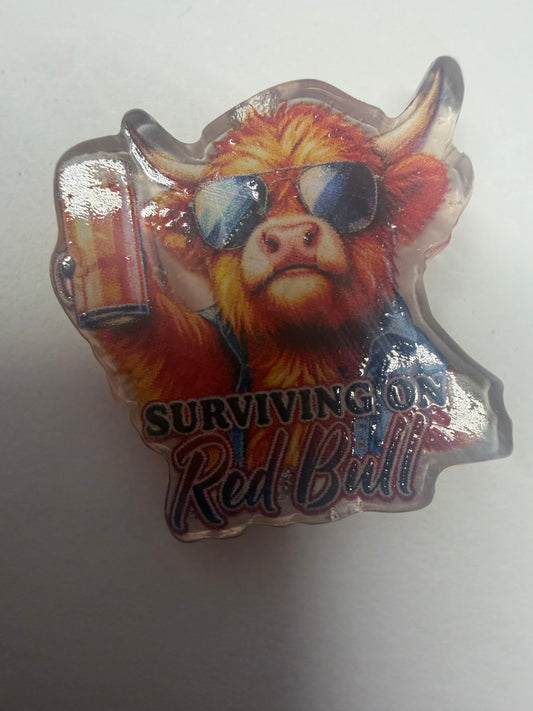 Acrylic focal highland cow surviving on Red Bull