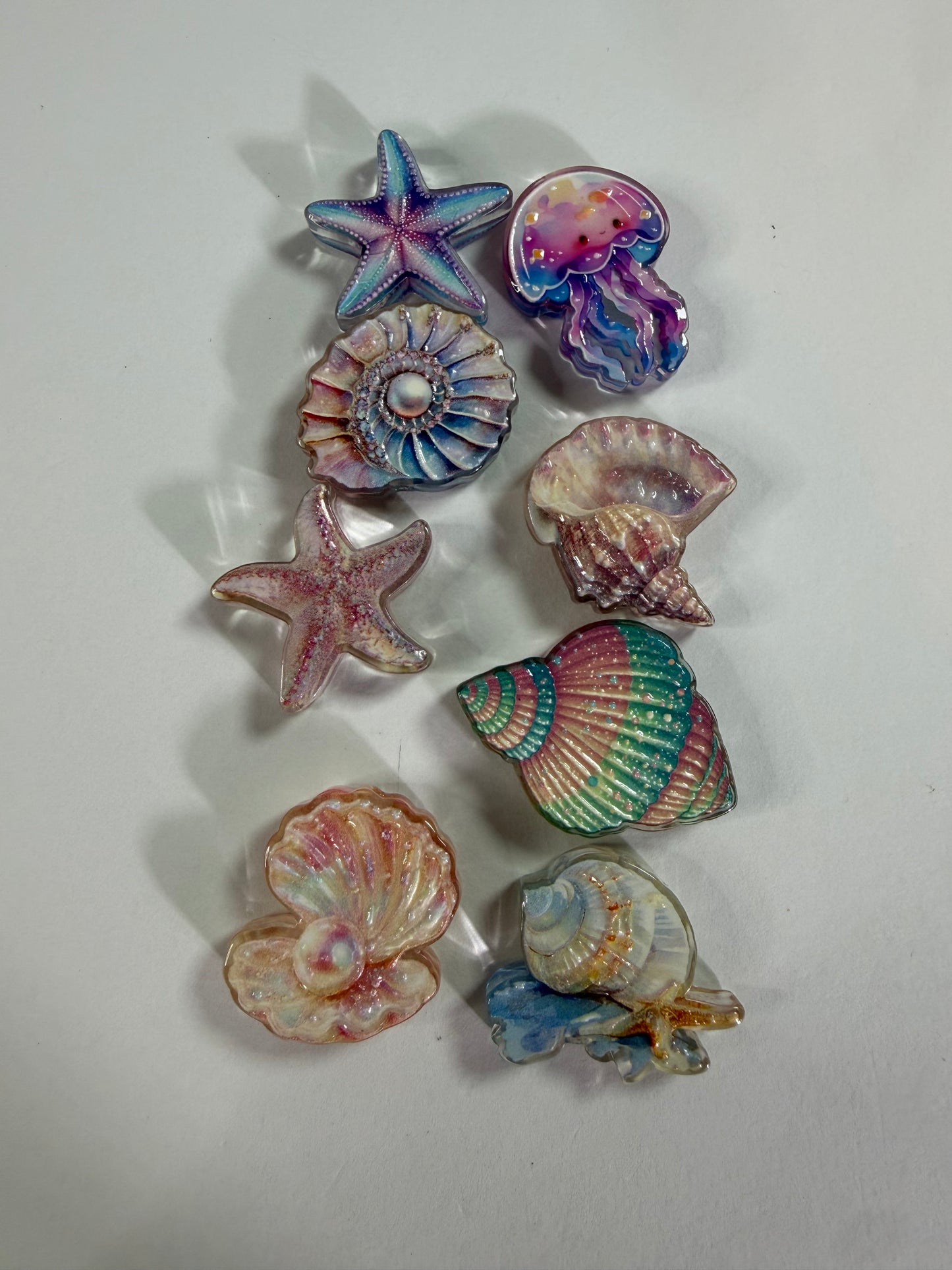 Acrylic focal rainbow color sea shells mystery