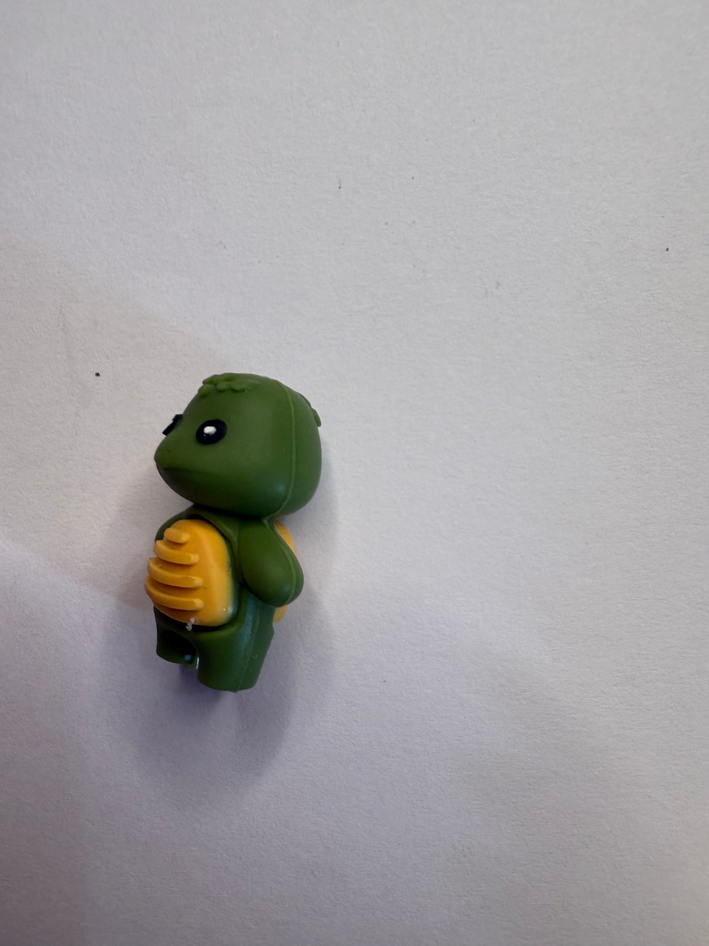 Focal turtles 3d