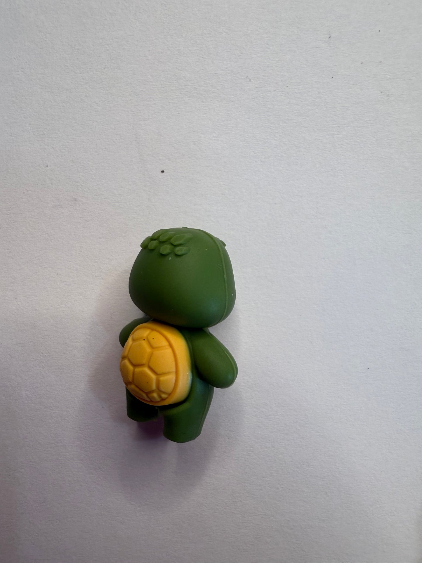 Focal turtles 3d