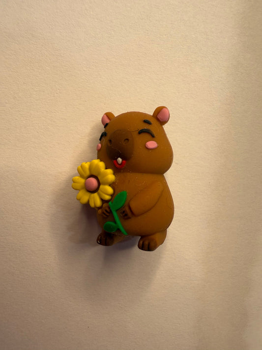 Focal 3d capybara