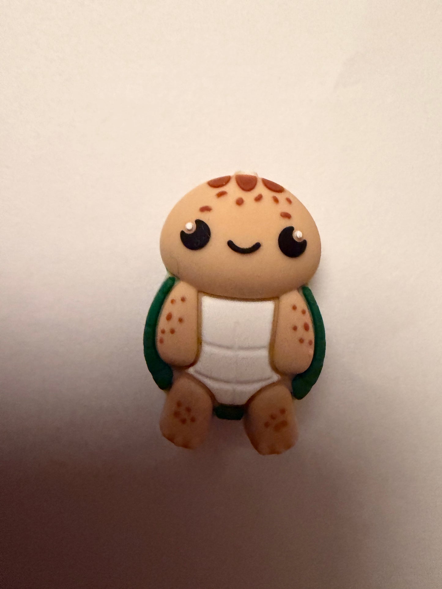 Focal 3d turtle