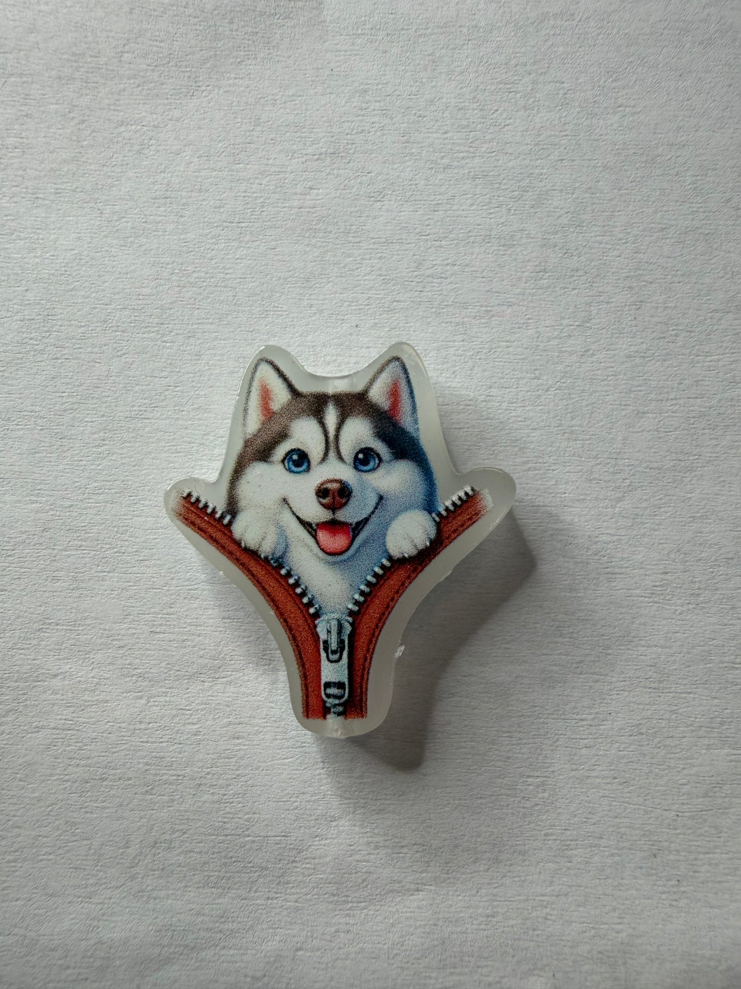 Acrylic Focal husky dog
