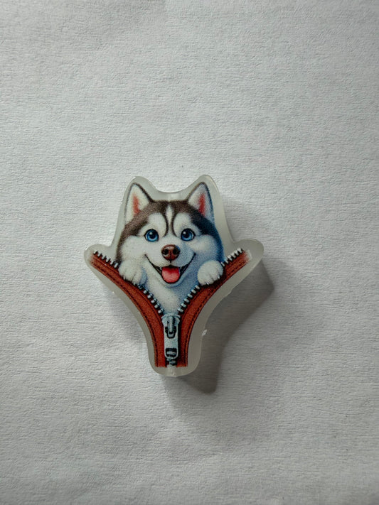 Acrylic Focal husky dog