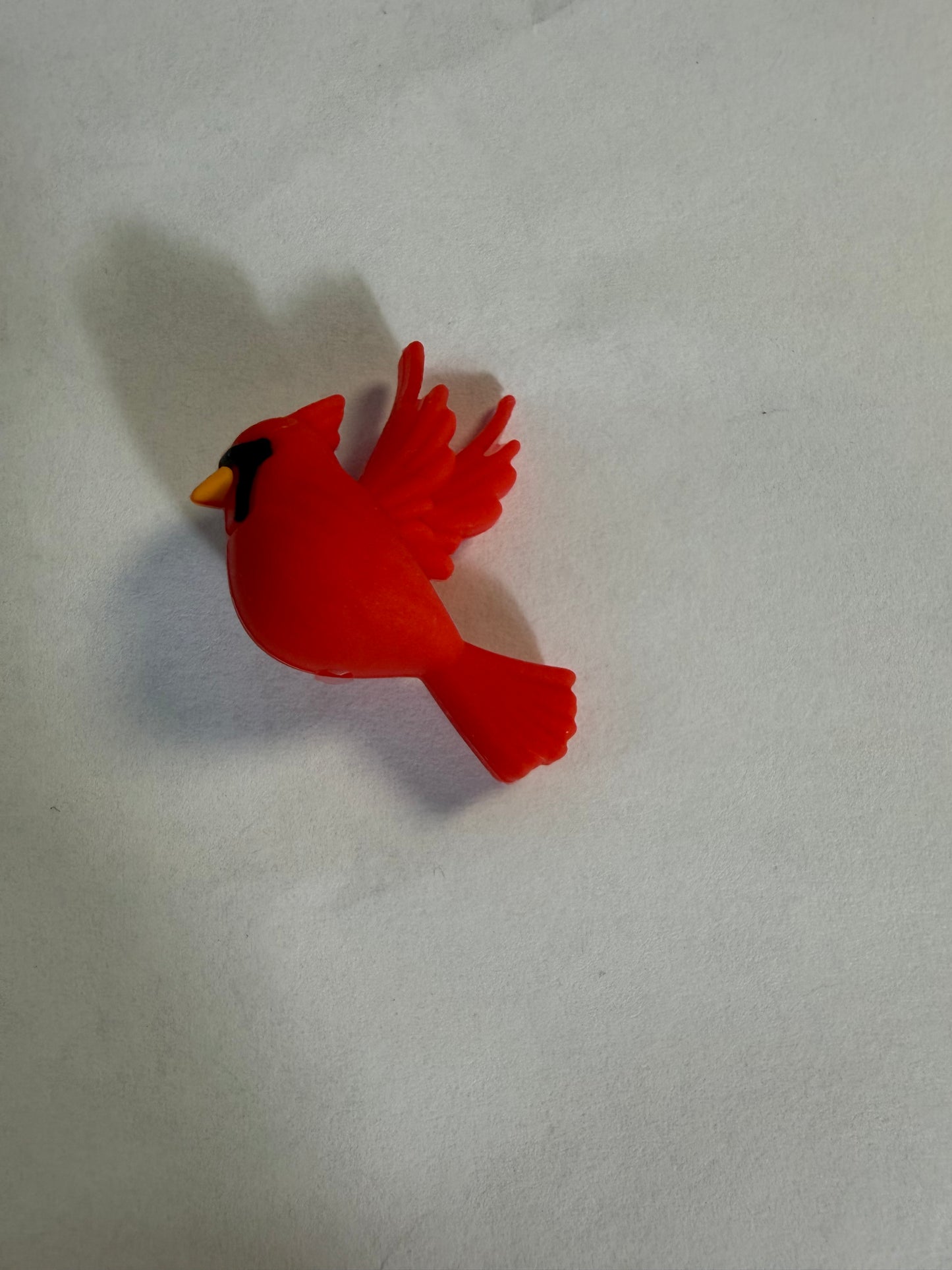 Focal 3d Cardinal bird