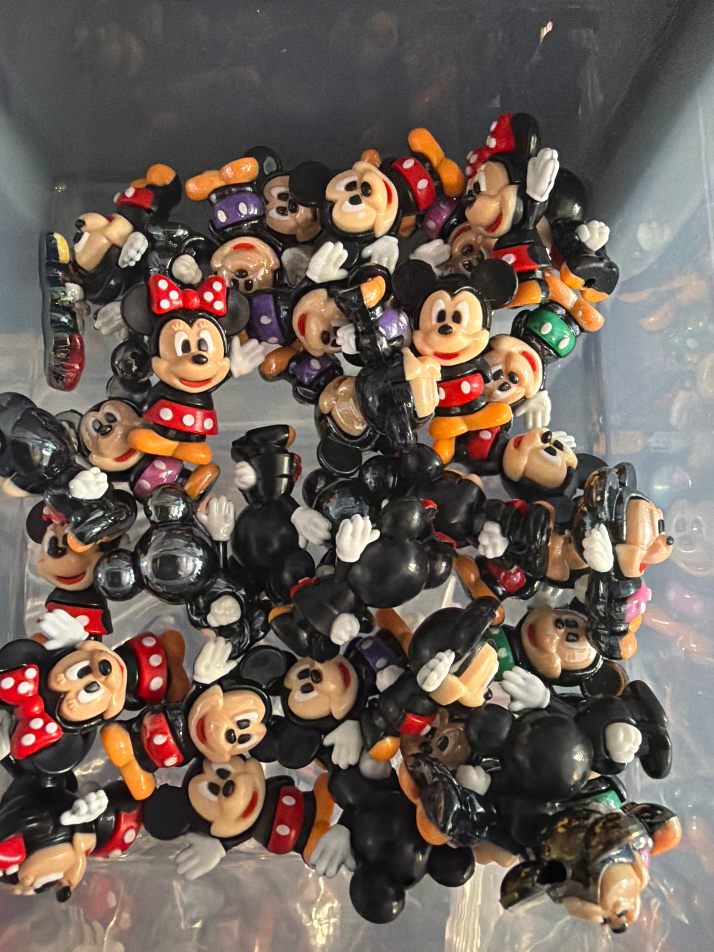 Focal 3d Mickey and Minnie mystery